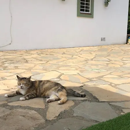 Σπίτι διακοπών Mikaela House Marbella Malaga Εστεπόνα